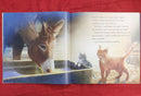 Little Tiger Press On This Special Night , Paperback Story Books | Condition: Pre Loved