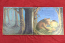 Nosy Crow Because I Love You , Hardcover Story Books | Condition: Pre Loved