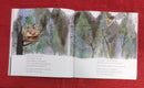 Peter Pan, Paperback Story Books | Condition: Pre Loved