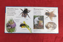 Let's Look at Bugs, Hardcover Educational Story Books | Condition: Pre Loved