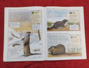 Kingfisher Freshwater Animals Questions & Answer, Paperback Educational Story Books | Condition: Pre Loved