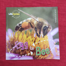 Lifecycles Egg to Bee, Paperback Educational Story Books | Condition: Pre Loved