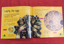 Lifecycles Egg to Bee, Paperback Educational Story Books | Condition: Pre Loved