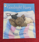 Goodnight Harry by Kim Lewis, Paperback Story Books | Condition: Pre Loved