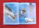 Kingfisher Young Knowledge Whales & Dolphins, Paperback Educational Story Books | Condition: Pre Loved