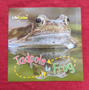 Lifecycle Tadpole to Frog, Paperback Educational Story Books | Condition: Pre Loved