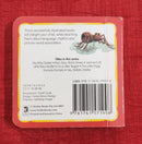 Itsy Bitsy Spider, Board Books | Condition: Pre Loved