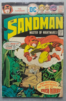 (Small Damage) SANDMAN | Issue
