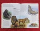 Animal Discovery, Hardcover Educational Story Books | Condition: Pre Loved
