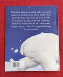 Big Bear Little Bear, Hardcover Story Books | Condition: Pre Loved