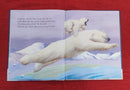 Big Bear Little Bear, Hardcover Story Books | Condition: Pre Loved