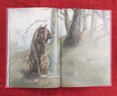 Peter and The Wolf, Hardcover Educational Books | Condition: Pre Loved