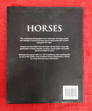 Horses Revealing the Natural Spirit of these Amazing Animals | Subject: Horse
