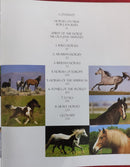 Horses Revealing the Natural Spirit of these Amazing Animals | Subject: Horse