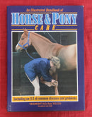 An Illustrated Handbook of Horse & Pony Care | Subject: Horse