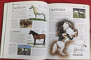 The Kingfisher Illustrated Horse and Ponies Encyclopedia | Subject: Horse
