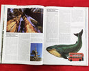 Wonders of the World | Subject: Travel & Encyclopedia