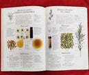 The Complete Guide to Medicinal Herbal | Subject: Herbs & Medicine