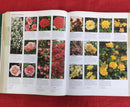 Royal Horticulture Society New Encyclopedia of Plants & Flowers | Subject: Gardening (Very Thick Book)