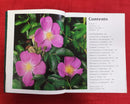 Botanica's ROSES | Subject: Gardening Flowers