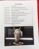 Easy Steps to Riding and Horse Care | Subject: Horse