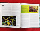 Megabugs The Natural History Museum Book of Insects | Subject: Encyclopedia
