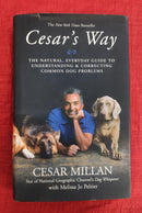 Cesar's Way Natural Way to Correcting Dog Problem | Subject: Dog Care
