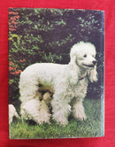 World Encyclopedia of Dog | Subject: Dogs