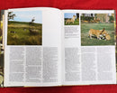 World Encyclopedia of Dog | Subject: Dogs