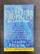 Paperback Novel in Used Good Condition