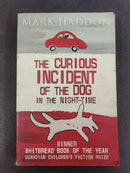 Paperback Novel in Used Good Condition