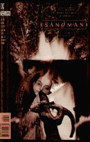 The Sandman, Vol. 2 The Kindly Ones, Part 3 |  Issue