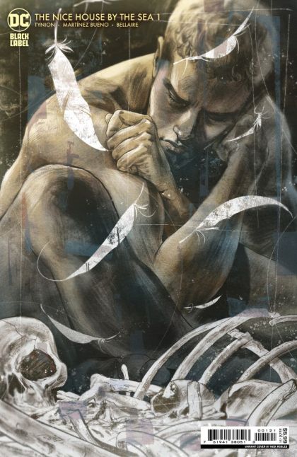 The Nice House by the Sea  |  Issue#1B | Year:2024 | Series:  | Pub: DC Comics | Nick Robles Variant
