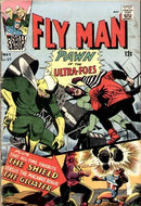 Fly Man  |  Issue