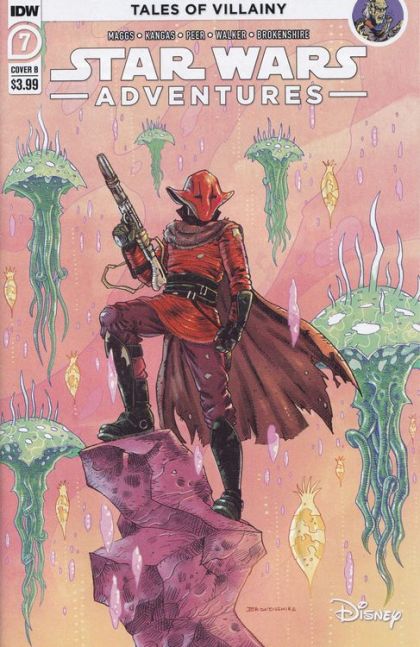 Star Wars Adventures (2020) The Princess and the Bog, A Twin Tale, Tales of Villainy |  Issue#7B | Year:2021 | Series: Star Wars | Pub: IDW Publishing | Nick Brokenshire Variant