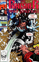 Punisher War Journal, Vol. 1 Panhandle |  Issue