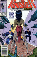The Punisher, Vol. 2 Sunset In Kansas |  Issue