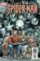 Peter Parker: Spider-Man And Here, My Troubles Begin... |  Issue