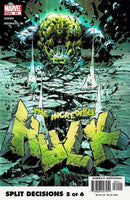 The Incredible Hulk, Vol. 2 Split Decisions, Part 5: Deja Vu |  Issue