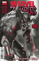 Marvel Zombies: Black, White & Blood  |  Issue