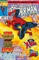 The Amazing Spider-Man, Vol. 1 The Chump, The Challenge and the Champion |  Issue