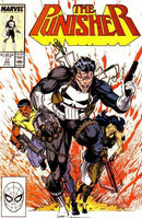 The Punisher, Vol. 2 Computer War |  Issue