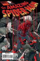 The Amazing Spider-Man, Vol. 2 The Gauntlet - Mysterioso, Part 2: Re-Appearing Act |  Issue