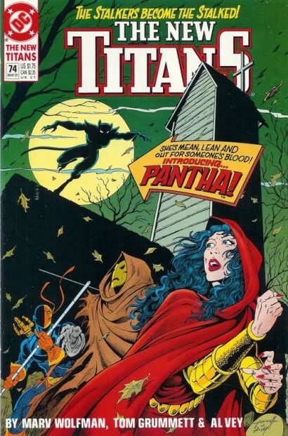The New Titans Titans Hunt, When Pantha Strikes |  Issue#74 | Year:1991 | Series: Teen Titans | Pub: DC Comics |