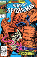 Web of Spider-Man, Vol. 1 Inferno - The Face in the Mirror |  Issue