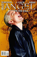 Angel: After the Fall Angel: After the Fall, Chapter Two |  Issue