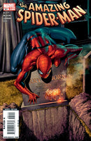 The Amazing Spider-Man, Vol. 2 Mind On Fire, Part One: The Trouble With Harry |  Issue