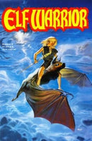 Elf Warrior Wizard's Lair |  Issue