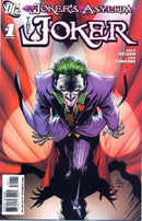 Joker's Asylum: Joker The Joker's Wild! |  Issue