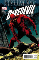 Daredevil, Vol. 2 Shadowland - Part 2 |  Issue